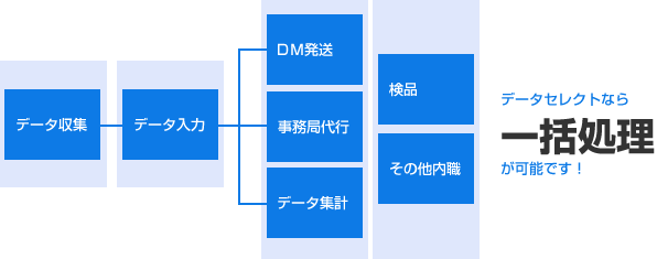 データ収集、データ入力、ＤＭ発送、事務局代行、データ集計、検品、その他内職など、データセレクトなら一括処理が可能です。